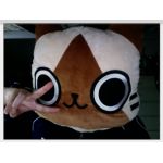 ピタ榛