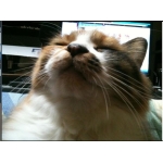 userPhoto