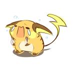 みかんねこ