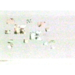 Toccsch