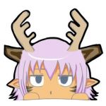 userPhoto