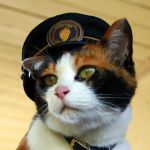 たま