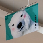 あさり