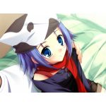 コルポ