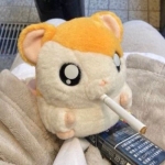 ユーザー画像