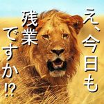 シズ