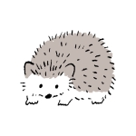 むぎ
