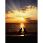 userPhoto