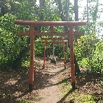 userPhoto