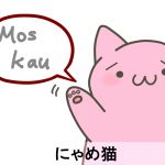 にゃめ猫