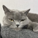 userPhoto