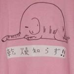 ツヤツヤの象