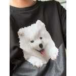 まふぃん
