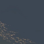 userPhoto