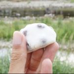 2分休符