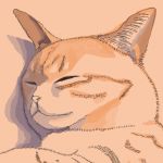ネオ肉球