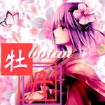 牡丹