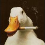 ユーザー画像