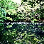 鶴華沙(つかさ)