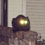 ふろ