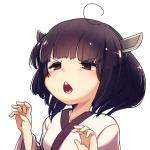 球磨猫
