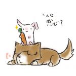 ドクターK