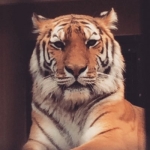 userPhoto