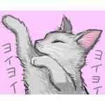 ちゃすけ