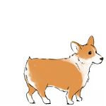 なか