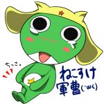 ねこすけ軍曹