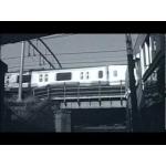 userPhoto
