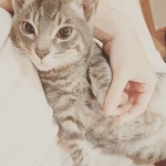 かなりえずき