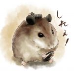 さぼてん定食