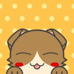 ユーザー画像