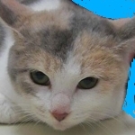 userPhoto