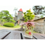userPhoto