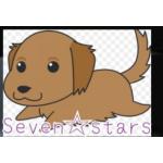 ☆☆Seven☆stars☆☆