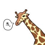 わさB