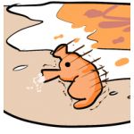 タツノコッソ