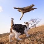 ユーザー画像