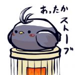 綾部 鳩