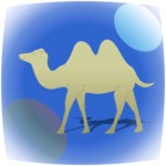 camel