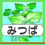 三葉（みつば）