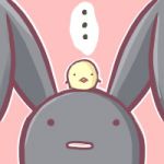 うぴ