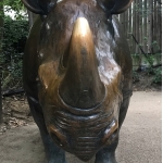 userPhoto