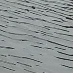 水　　　　　　　　　　　　　.