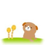 userPhoto