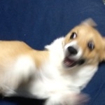 userPhoto