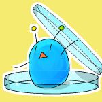 シャーレ