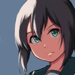 ハヤサカ提督